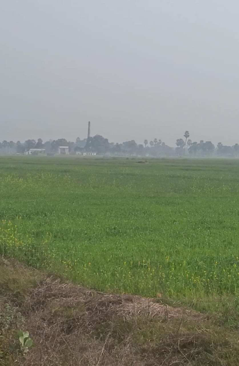 सारण जिले के सारण सदर क्षेत्र में 3 लाख कठ्ठा ज़मीन बिक्री के लिए – शानदार निवेश अवसर! 
