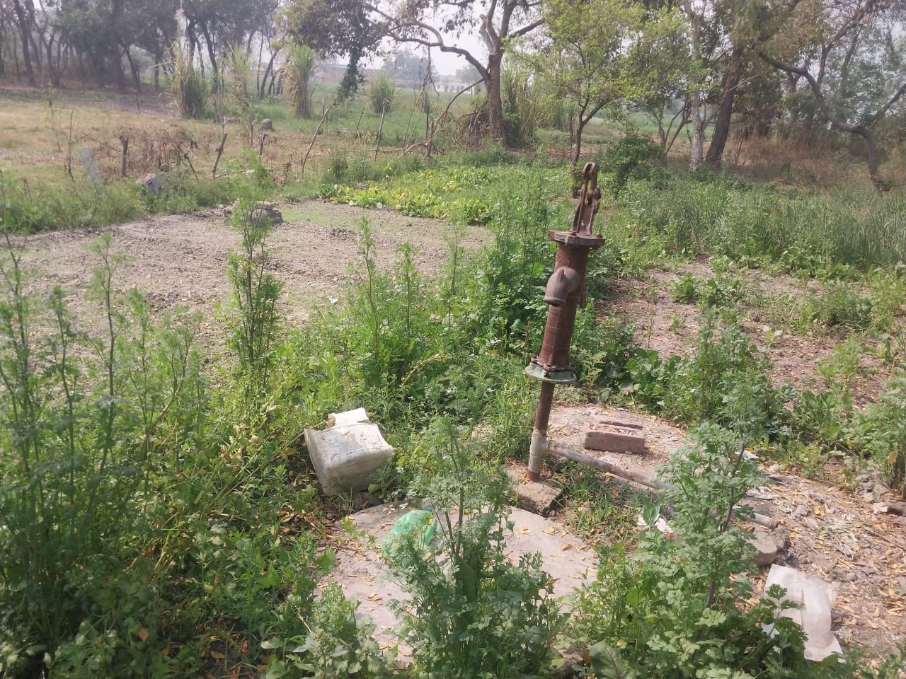 रोहतास ज़िला, करगहर में 3.20 लाख प्रति डिसेमल ज़मीन बिक्री के लिए